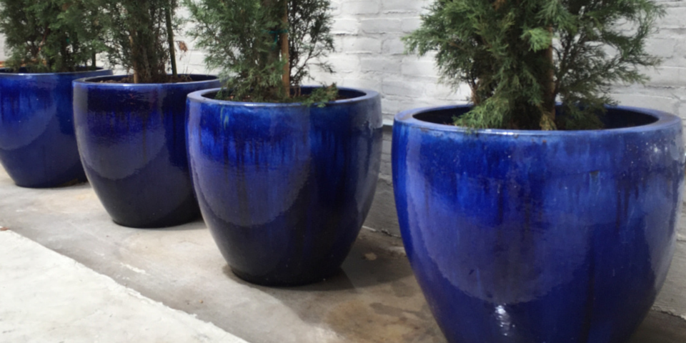 Shaya 4 Blue Pots